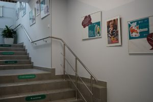 Расписание мероприятий анонсировали в ЦМД «Коммунарка 2». Фото: Анна Быкова, «Вечерняя Москва»