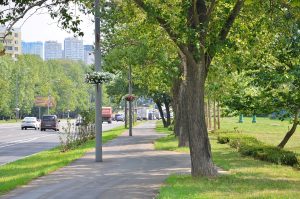 Московские коммунальщики переходят на усиленный режим работы из-за жары. Фото: Анна Быкова, «Вечерняя Москва»